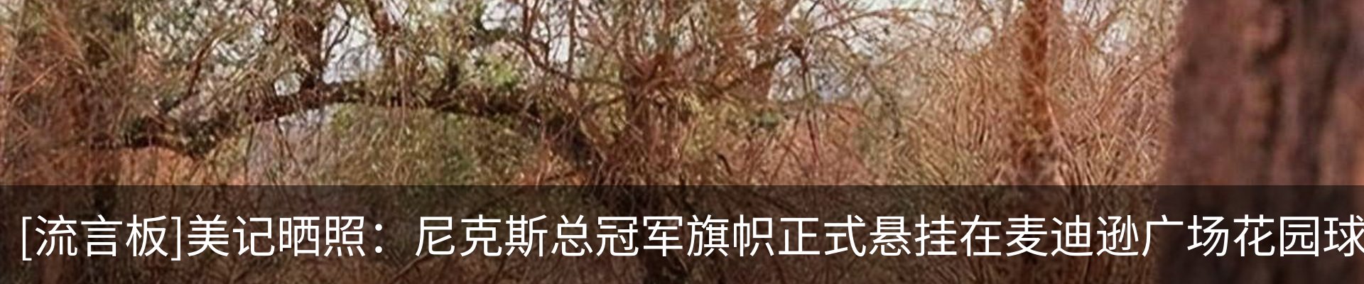 资讯动态